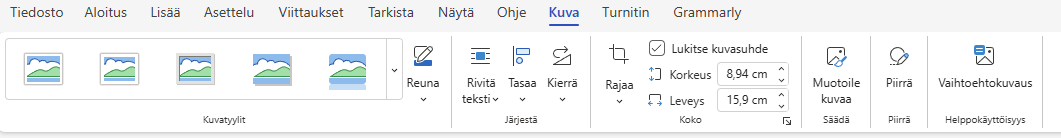 Word selainversion kuva välilehti