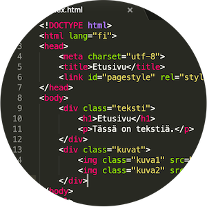 Verkkosivut ja ohjelmointi